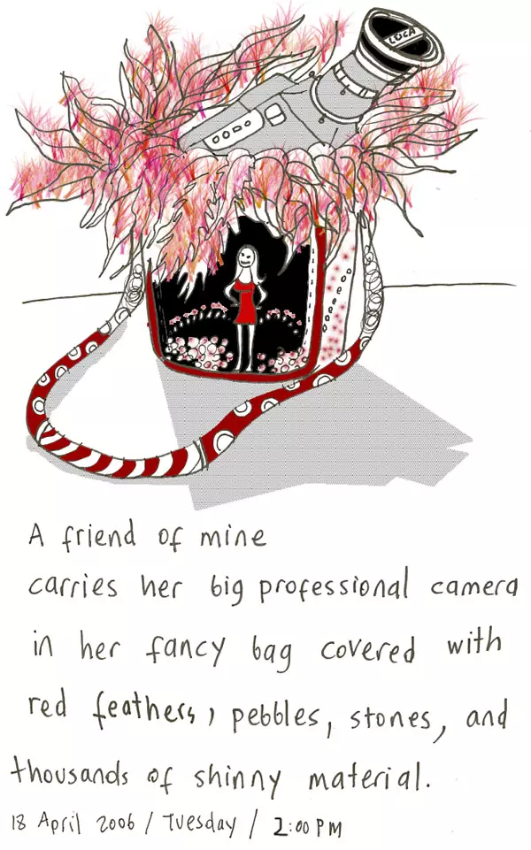 A friend of mine carries her big professional camera in her fancy bag covered with red feathers, pebbles, stones, and thousands of shiny material.