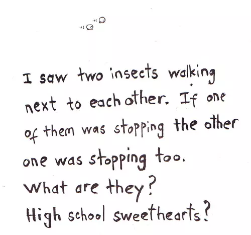 I saw two insects walking next to each other. If one of them was stopping the other was stopping too? What are they? High school sweethearts?
