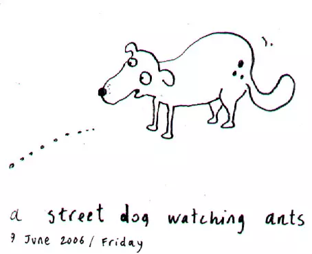A street dog watching ants