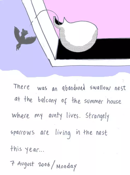 There was an abandoned swallow nest at the balcony of the summer house where my aunty lives. Strangely sparrows are living in the nest this year...