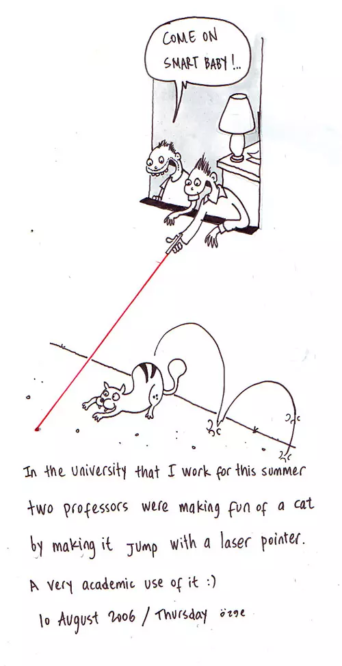 "Come on smart baby!.." In the university that I work for this summer two professors were making fun of a cat by making it jump with a laser pointer. A very academic use of it :)