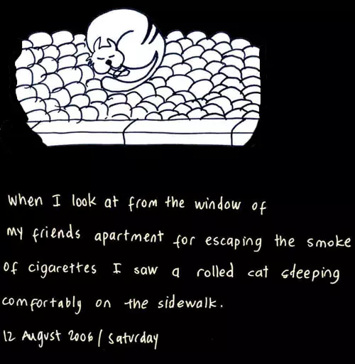 When I look at from the window of my friends apartment for escaping the smoke of cigarettes I saw a rolled cat sleeping comfortably on the sidewalk.