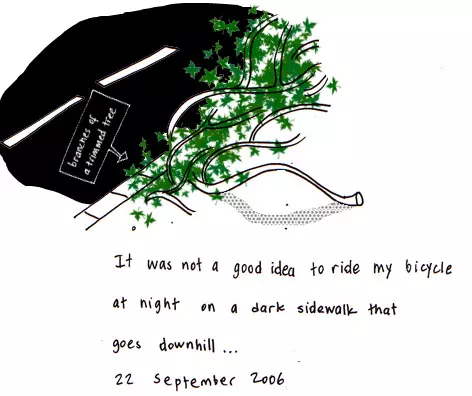 "branches of a trimmed tree" It is not a good idea to ride my bicycle at night on a dark sidewalk that does downhill...