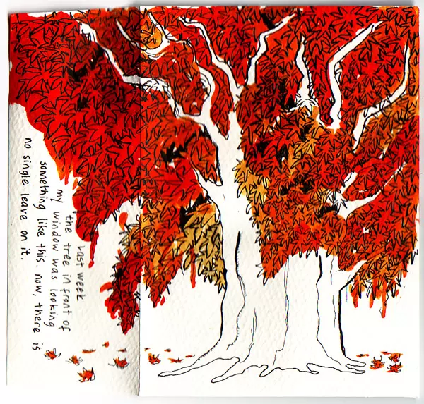 Last week the tree in front of my window was looking something like this. now there is no single leave on it.
