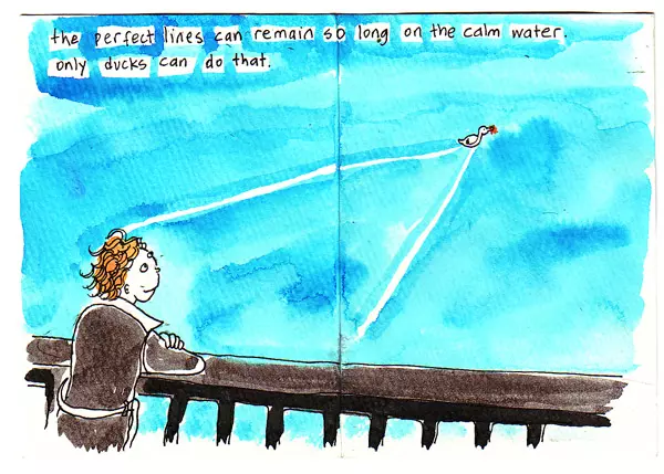 the perfect lines can remain so long on the calm water. Only ducks can do that. 