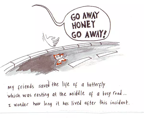 "Go away honey go away!" My friends saved the life of a butterfly which was resting at the middle of a busy road... I wonder how long it has lived after this incident.