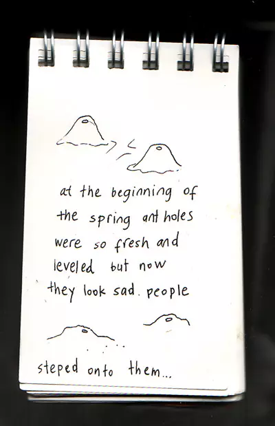 at the beginning of the spring ant holes were so fresh and leveled but now they look sad. people stepped onto them...