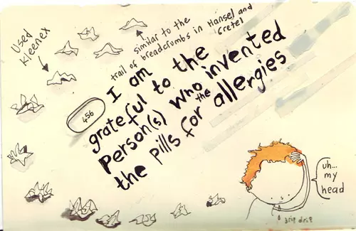 I am grateful to the person(s) who invented the pills for the allergies "uh... my head"