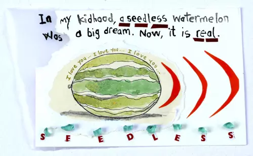 In my kidhood, a seedless watermelon was a big dream. Now, it is real.  I love you... I love you... I love you... seedless