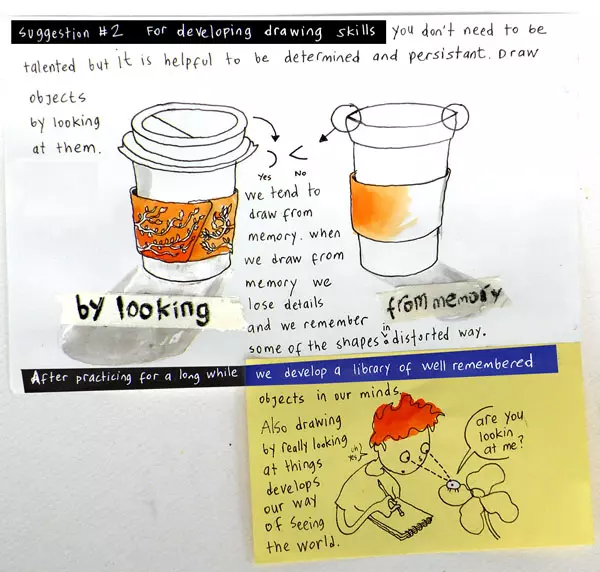 Suggestion #2 For developing drawing skills you don't need to be talented but it is helpful to be determined and persistent. Draw objects by looking at them. We tend to draw from memory. when we draw from memory we lose details and we remember some of the shapes in a distorted way. After practicing for a long while we develop a library of well remembered objects in our minds. Also drawing by really looking at things develops our way of seeing the world. "are you looking at me?"