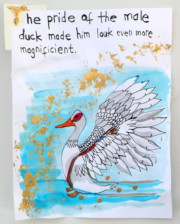The pride of the male duck made him look even more magnificent. 
