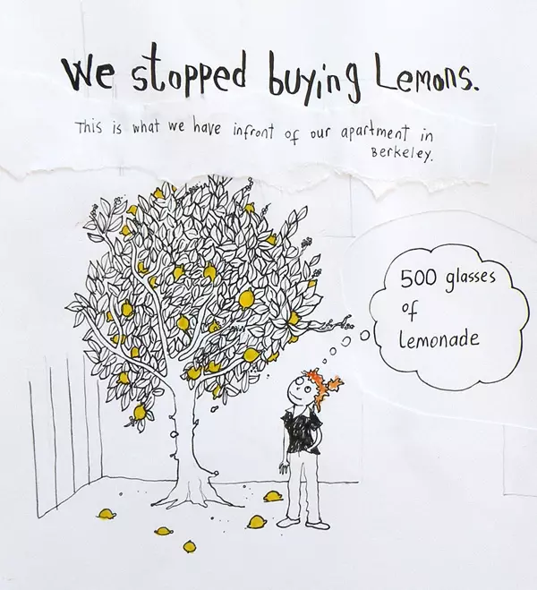 We stopped buying Lemons. This is what we have Infront of our apartment in Berkeley. "500 glasses of lemonade"
