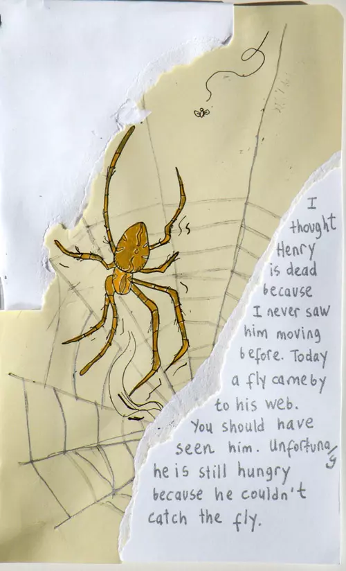 I thought Henry is dead because I never saw him moving before. Today a fly came by to his web. You should have seen him. Importunely he is still hungry because he couldn't catch the fly.