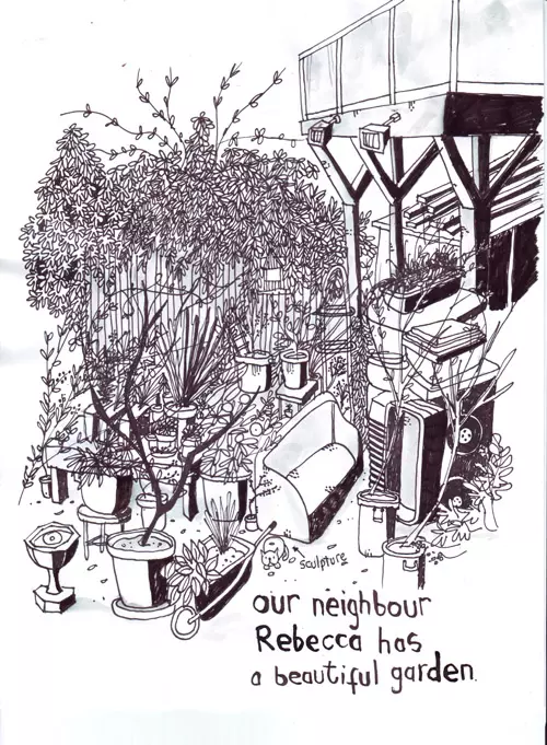 our neighbor Rebecca has a beautiful garden.