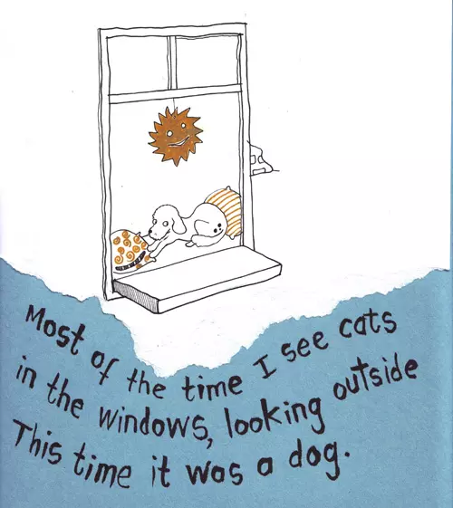 Most of the time I see cats in the windows, looking outside  This time it was a dog.