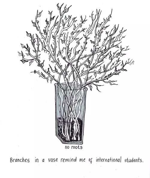 Branches in a vase me of international students  no roots