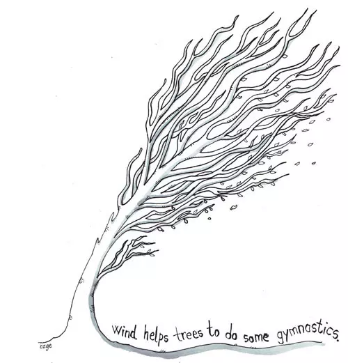 wind helps trees to do some gymnastics.