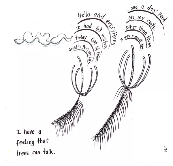 I have a feeling that trees can talk. "Hello and everything I had 47 visitors today. One of them tried to peel my bark..." "... and a dog peed on my roots. Other than these it was a great day."