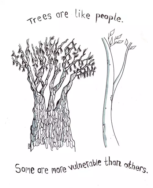 Trees are like people. Some are more vulnerable than others.