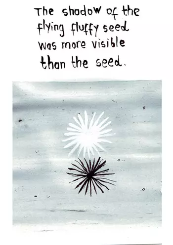 The shadow of the flying fluffy seed was more visible than the seed. 