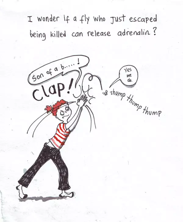 I wonder if a fly who Just escaped being killed can release adrenalin? "Son of a b.....!" "Yes we do"