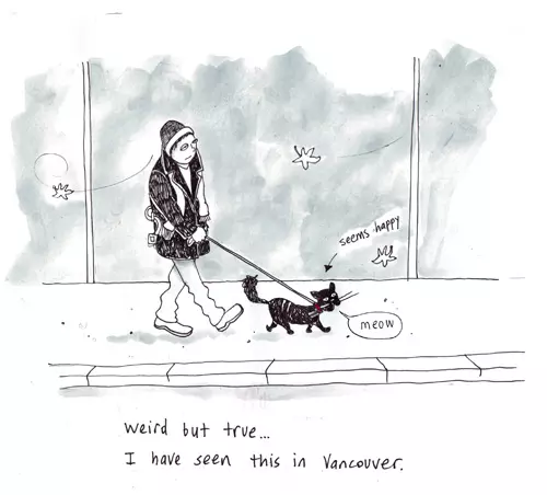 Weird but true... I have seen this in Vancouver. 
