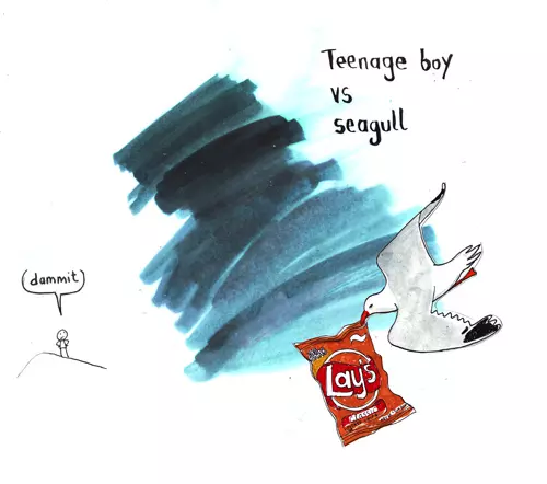 Teenage boy vs seagull "dammit"