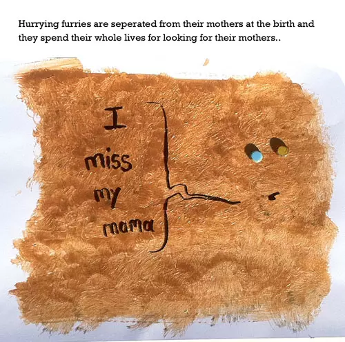 Hurry furry bugs (Archegozetes Eriophyidae) are separated from their mothers at birth and they spend their entire lives looking for their mothers. "I miss my mama"