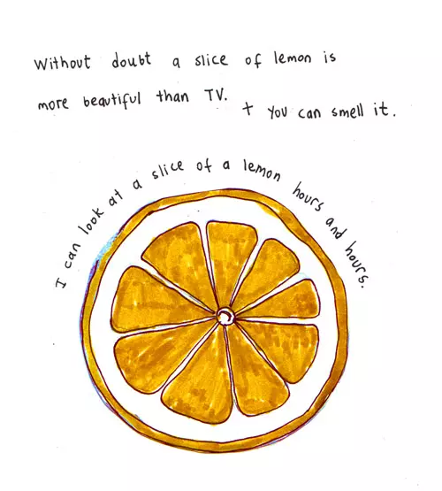 Without a doubt a slice of lemon is more beautiful than TV. + you can smell it. I can look at a slice of lemon hours and hours.