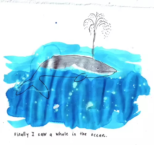 Finally I saw a whale in the ocean.