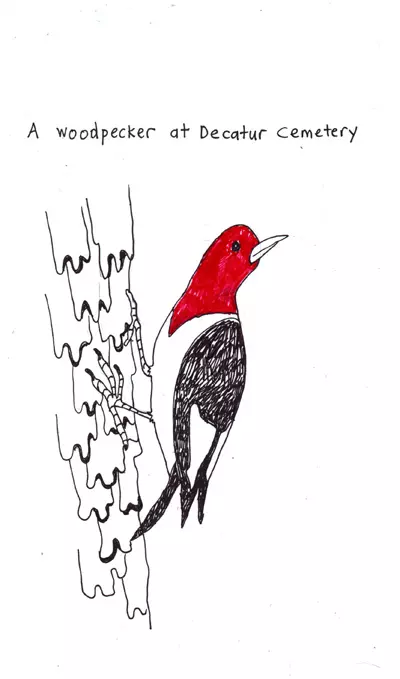 A woodpecker at Decatur Cemetery