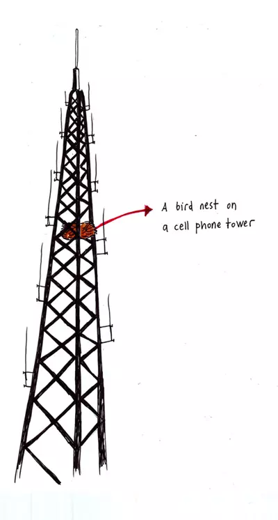 A bird nest on a cell phone tower