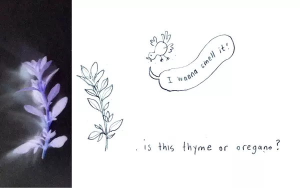 "I wanna smell it!" is this thyme or oregano?