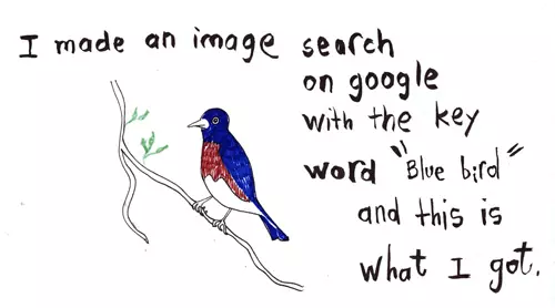 I made an image search on google with the key word "Blue bird" and this is what I got.
