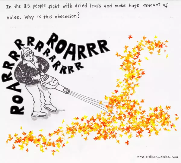 In the U.S. people fight with dried leaves and make huge amount of noise. Why is this obsession?