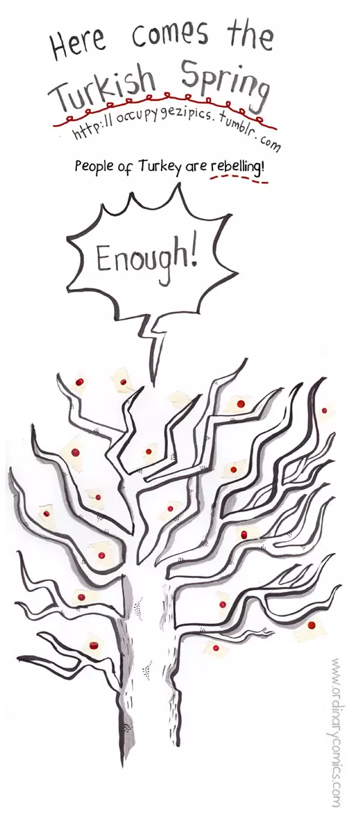 Here comes the Turkish Spring http://occupygezipics.tumblr.com People of Turkey are rebelling. Enough.