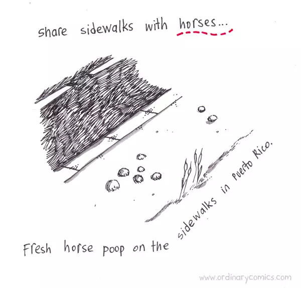 Share sidewalks with horses… Fresh horse poop on the sidewalks in Puerto Rico…