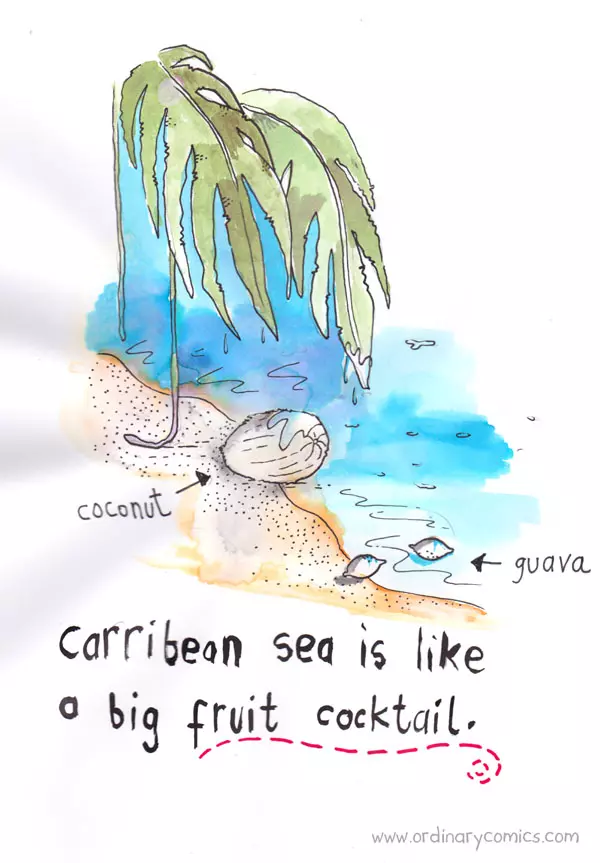 Caribbean sea is like a big fruit cocktail. Guava Coconut