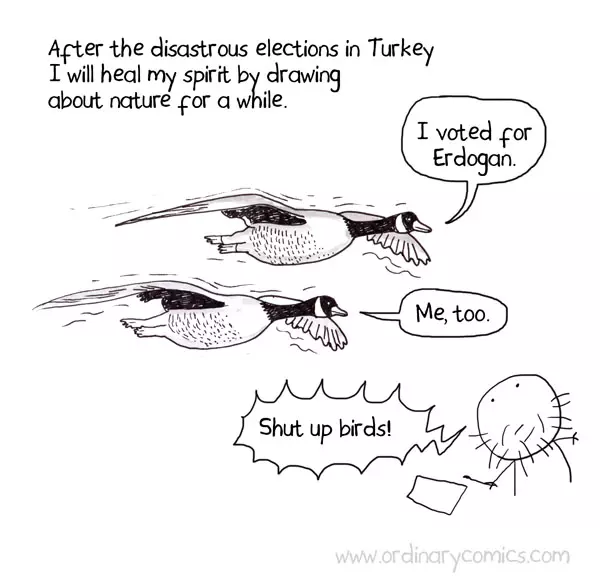 After the disastrous elections in Turkey I will heal my spirit by drawing  about nature for a while. I voted for Erdogan. Me too. Shit up birds!