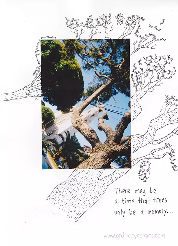 There may be a time that trees only be a memory