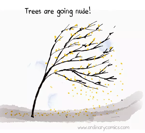 Trees are going nude!