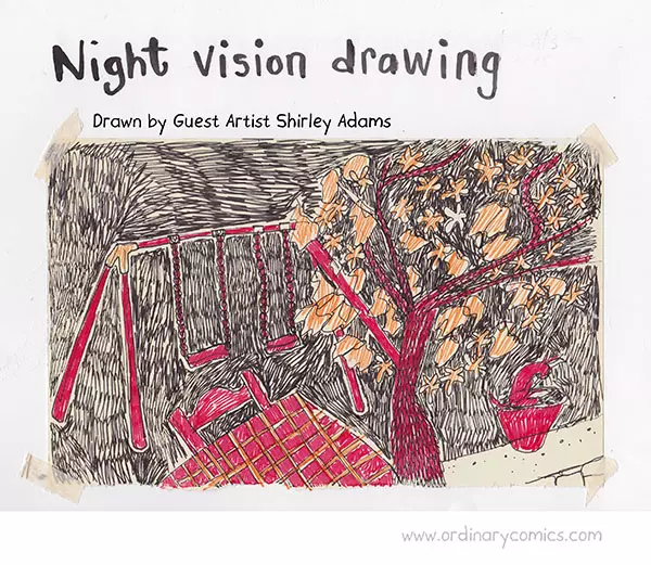 Night vision drawing Drawn by Guest Artist Shirley Adams
