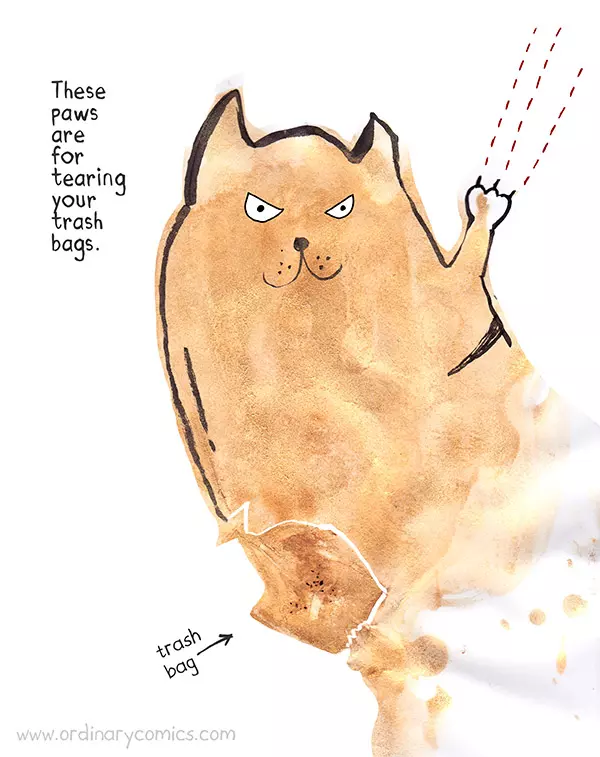 These paws are for tearing your trash bags. Trash bag.